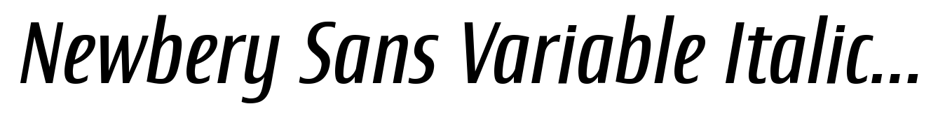 Newbery Sans Variable Italic Cd